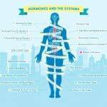 Types of Hormones: The Key Players Behind the Scenes