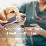 Zoo Keeper Hormone Tips: An Animal Guide to Wild Success