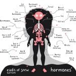 Birth Control and Hormones: Navigating Your Reproductive Health