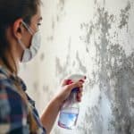 Finding Balance with Dust Allergies and Hormone Regulation