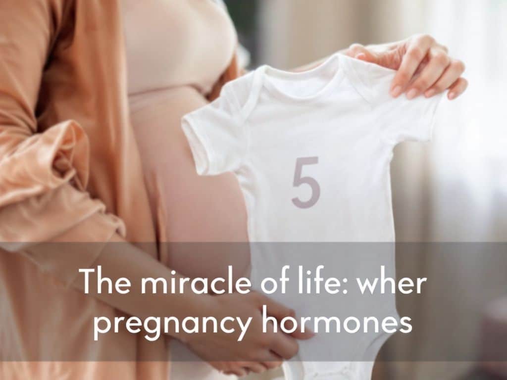 [Pregnancy Hormones] A Scientific Look Inside Your Changing Body