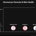 The Ultimate Guide to ferritin level